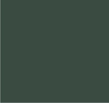 RAL 7009 Gris vert