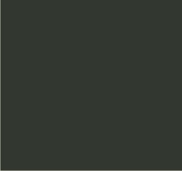 RAL 7013 Gris brun