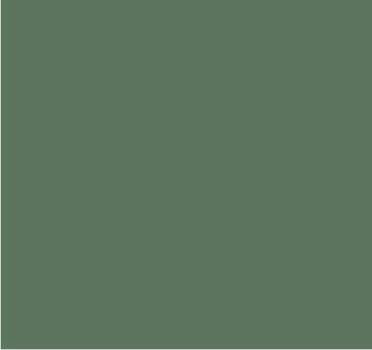 RAL 7033 Gris ciment