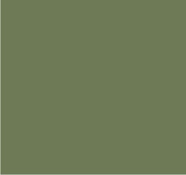 RAL 7034 Gris jaune