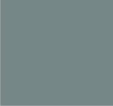 RAL 7036 Gris platine
