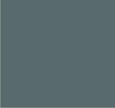 RAL 7037 Gris poussière