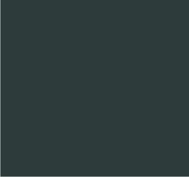 RAL 7043 Gris signalisation B