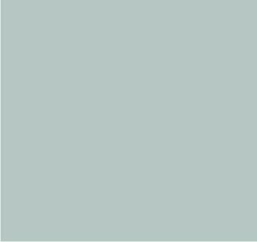 RAL 7047 Telegris 4