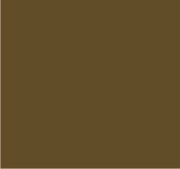 RAL 8000 Brun vert
