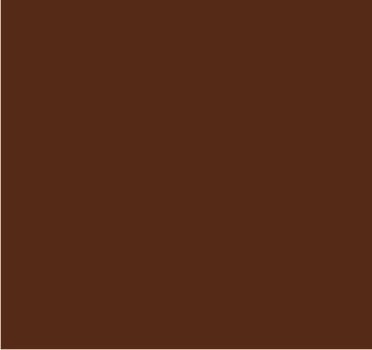 RAL 8003 Brun argile