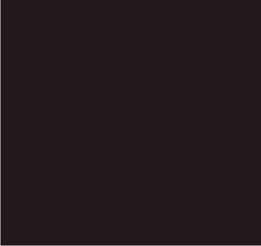 RAL 8017 Brun chocolat