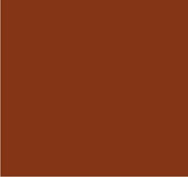 RAL 8023 Brun orangé