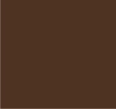 RAL 8024 Brun beige