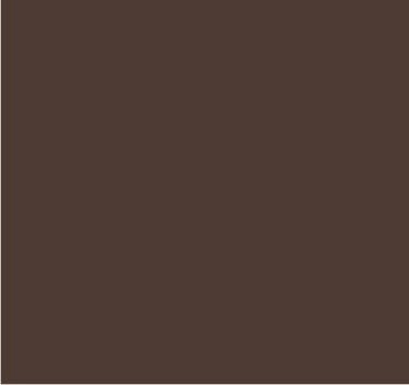 RAL 8025 Brun pâle
