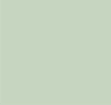 RAL 9002 Blanc gris