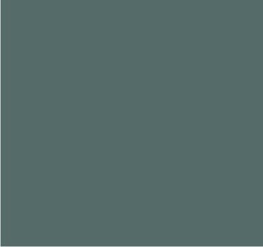 RAL 9023 Gris fonçé nacré