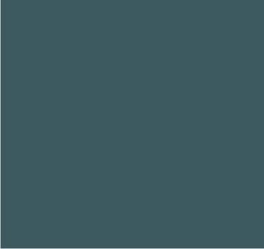 RAL 7025 Gris argent