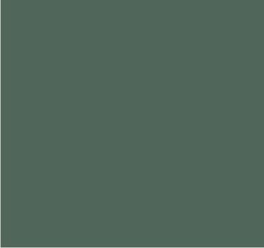 RAL 7007 Gris vert