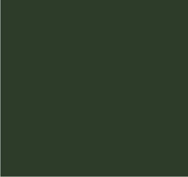 RAL 6031 Vert bronze